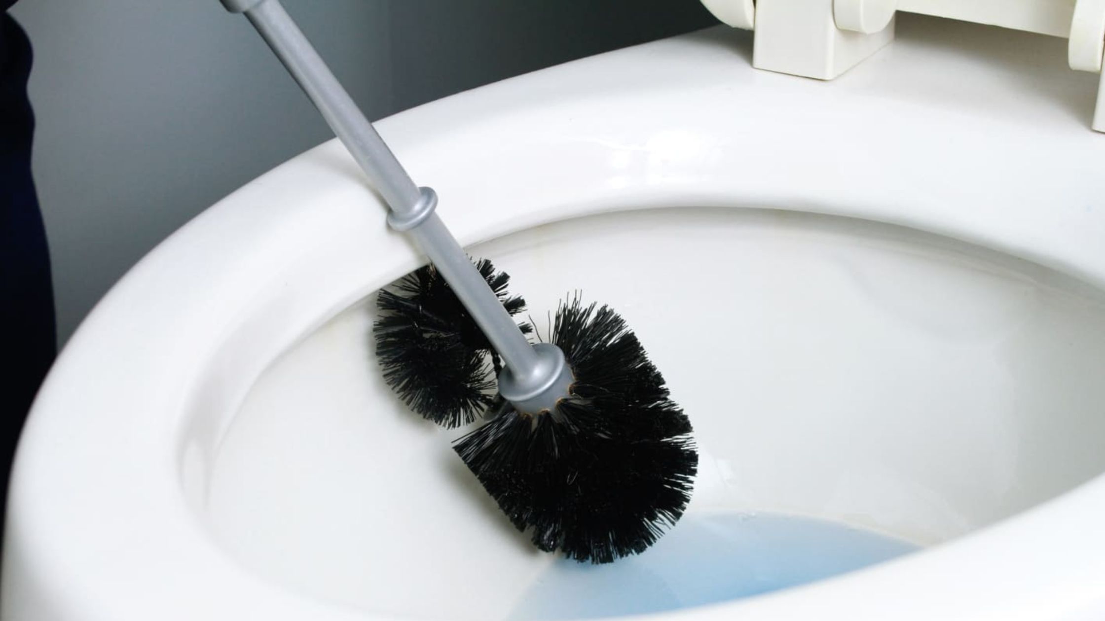 How to Clean a Toilet Brush